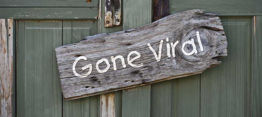 A wooden sign reading Gone Viral