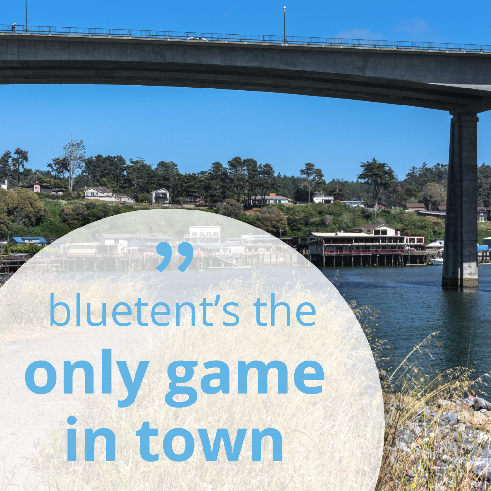 Telestar international case study image