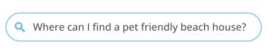 Search box with question about pet-friendly beaches.
